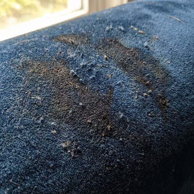 Before Velvet Sofa Cleaning