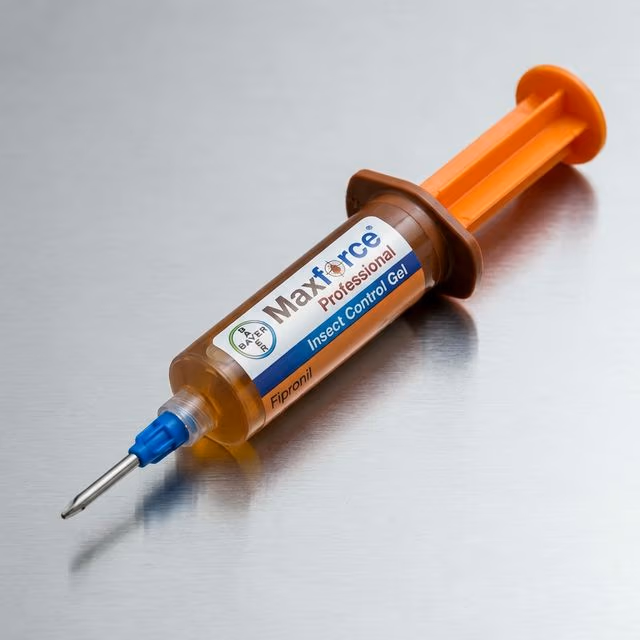 بقع دم على المراتب